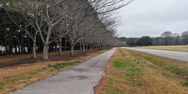 The featured photo for Red Wing Park Cherry Trees
