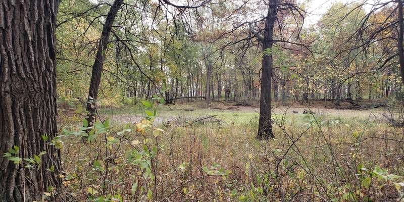 The featured photo for The Grove National Historic Landmark Wetland (Back 70 acres)
