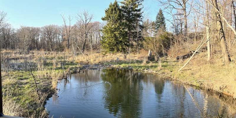 The featured photo for Euclid Creek Stream Restoration
