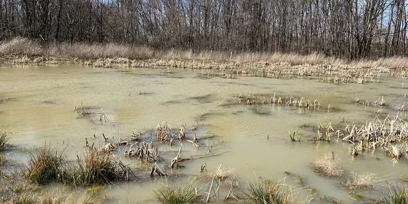 The featured photo for North Hawkins Restoration