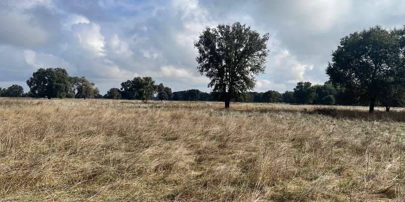 The featured photo for River Walk - Savannah