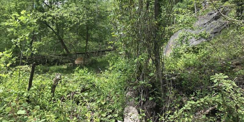 The featured photo for Stillmeadow Rock