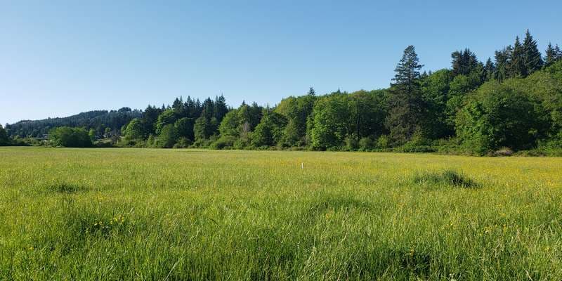 The featured photo for Millstone River (East Wellington Park)