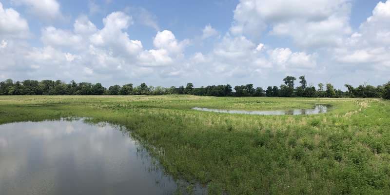 The featured photo for Burntwood-Langenkamp Wetland Conservation Area