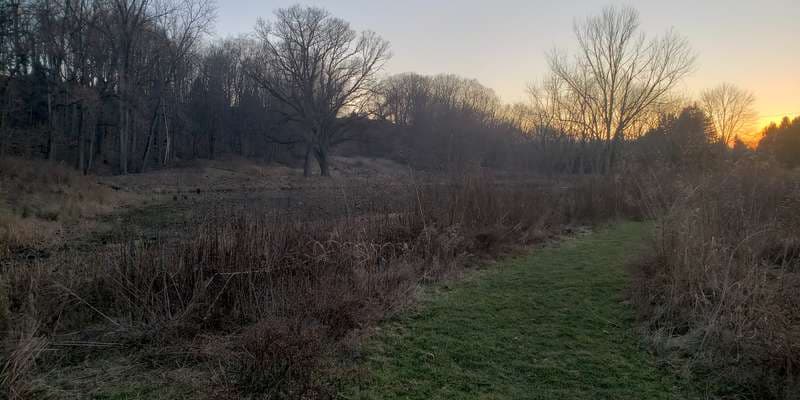 The featured photo for Astorhurst Wetland