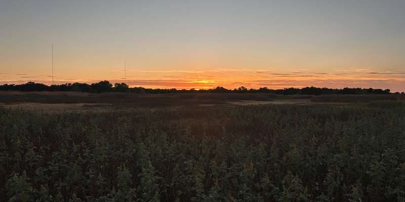 The featured photo for Wetlands Walk - Boardwalk Viewing Platform