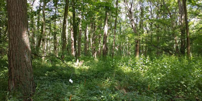 The featured photo for WWS120