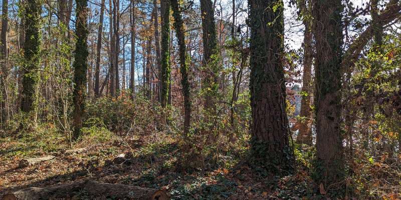 The featured photo for Lake Smith Lake Lawson Natural Area