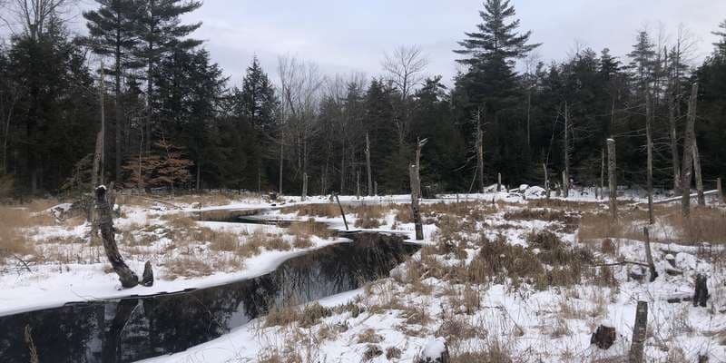 The featured photo for Eagle Mountain Wilderness Preserve