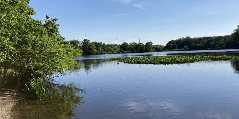 The featured photo for Massapequa Preserve