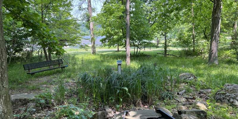 The featured photo for Pinchot - Nature Center Pool
