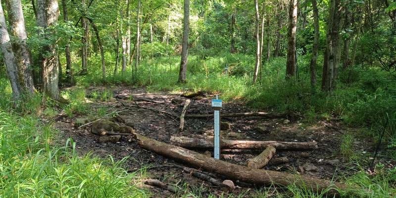 The featured photo for Pinchot - Farm Pool