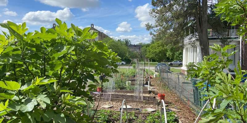 The featured photo for Liberty Grace