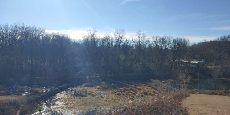The featured photo for Renaissance Park Wetland