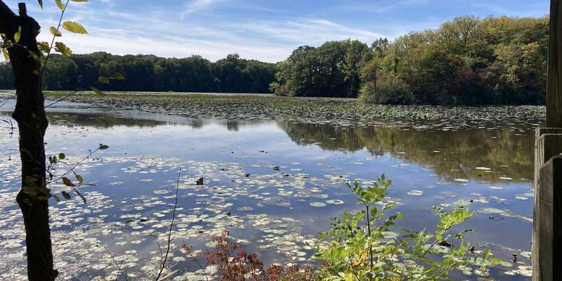 The featured photo for OWC Estuary Site