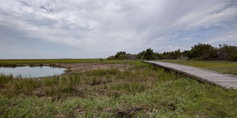 The featured photo for Fort Fisher State Recreation Area - Basin Trail