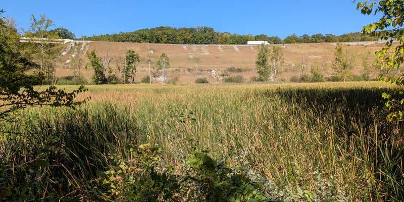 The featured photo for Beaver Marsh - North