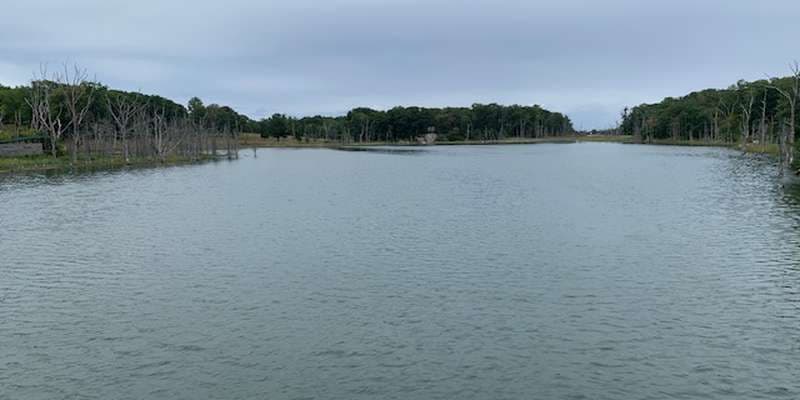 The featured photo for Damde Marsh