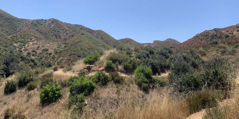 The featured photo for #WoolseyFire18