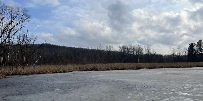 The featured photo for Beaver Marsh - North