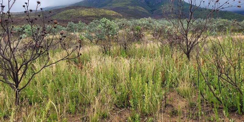 The featured photo for Reserve