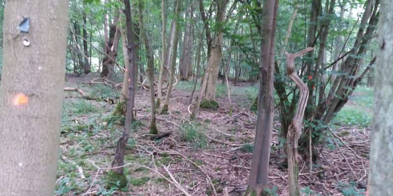 The featured photo for WWS118