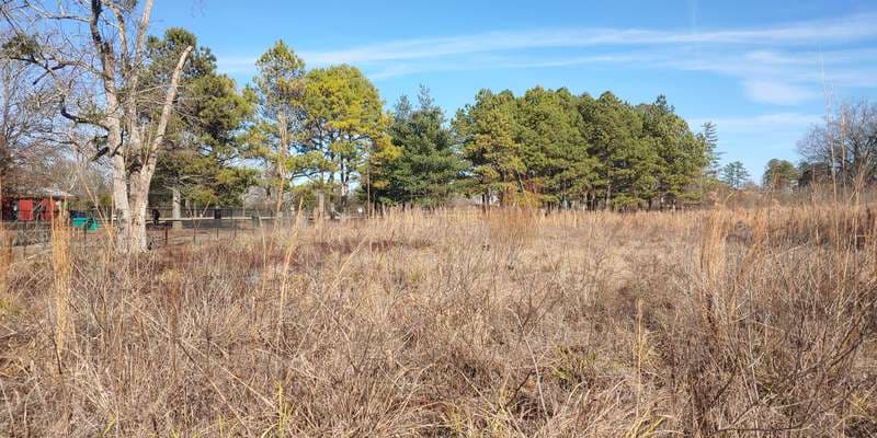 The featured photo for Heritage Park Meadow