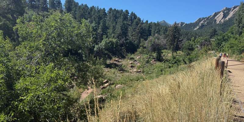 The featured photo for Lower McClintock Restoration