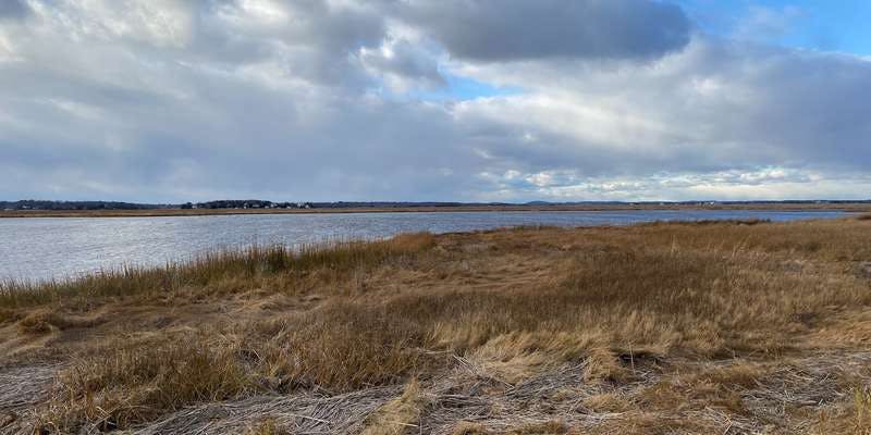 The featured photo for Salt Pannes - Tidal Waters