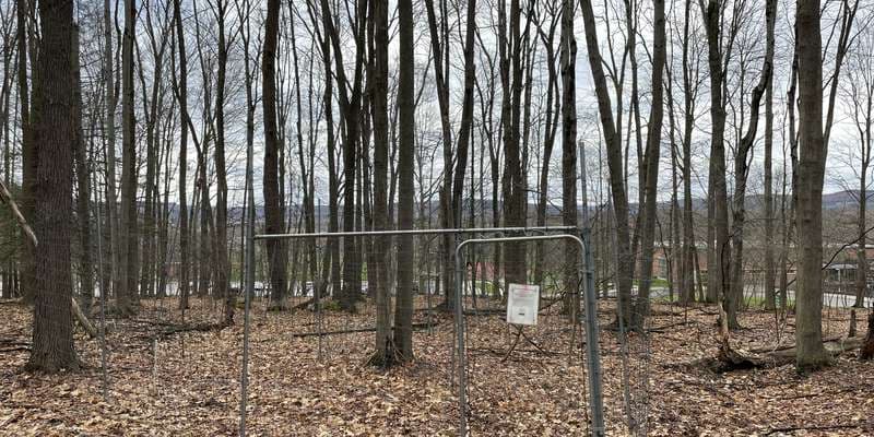 The featured photo for Deer Exclosure