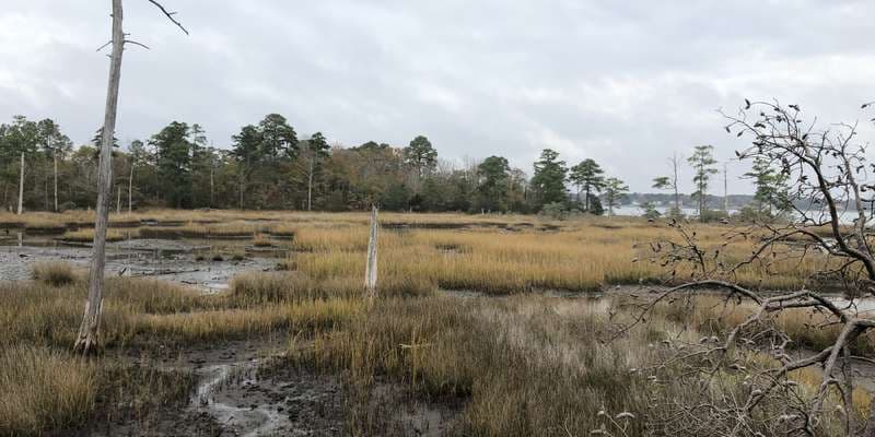 The featured photo for First Landing - Long Creek Overlook