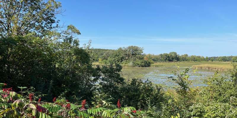 The featured photo for Carver Park Reserve – Lundsten Lake