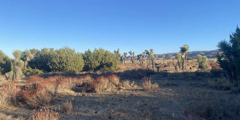 The featured photo for Arthur B Ripley - Station 2