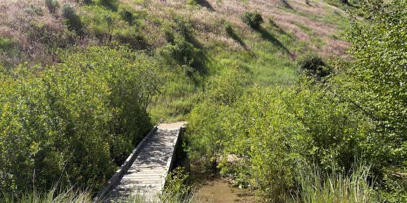 The featured photo for Dry Creek-Station 4
