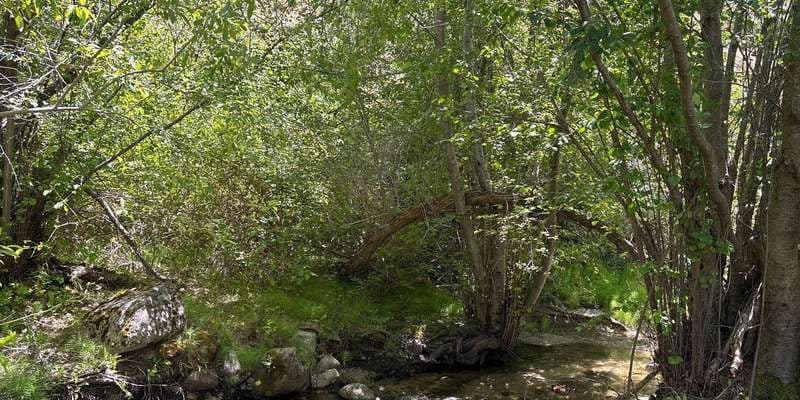 The featured photo for Dry Creek-Station 6