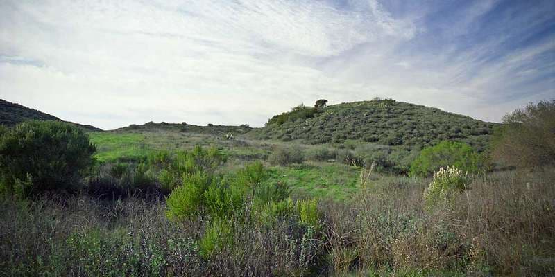 The featured photo for #SpringsFire01