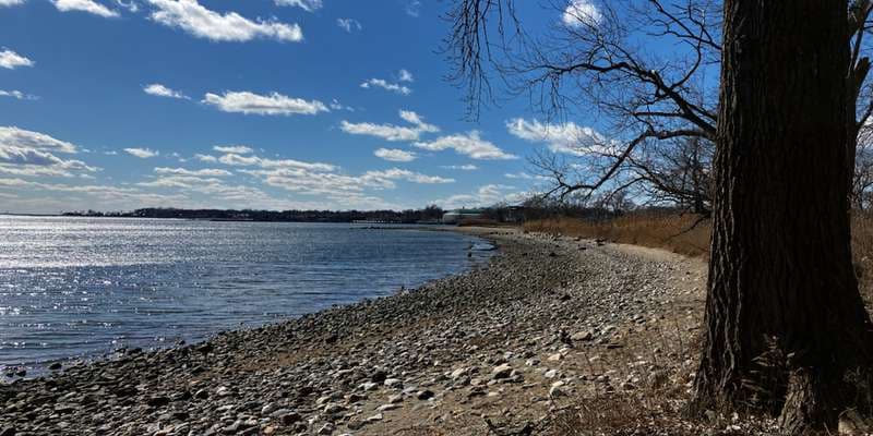 The featured photo for Edith G. Read Wildlife Sanctuary Living Shoreline