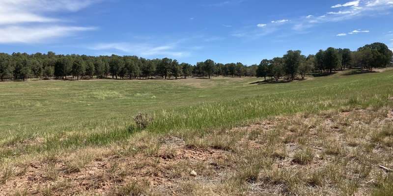 The featured photo for Sutey Ranch Station 102