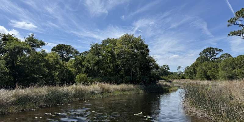 The featured photo for Osprey Acres Stormwater Park (Flowway Bridge)