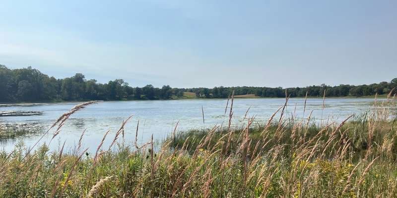 The featured photo for Crow-Hassan Park Reserve – Prairie Lake