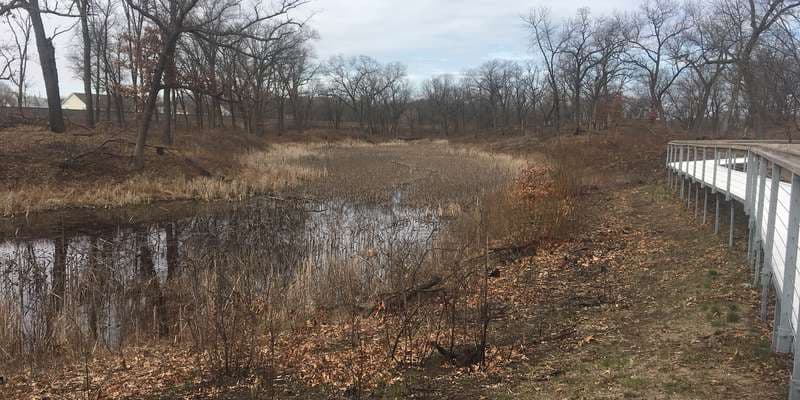 The featured photo for Miller Woods