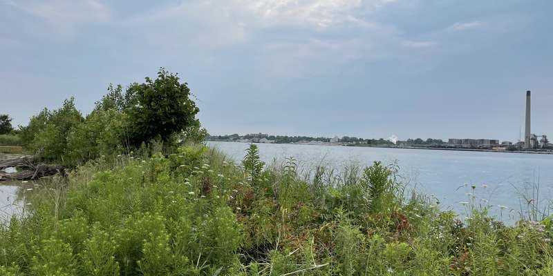 The featured photo for Blue Water River Walk County Park - South