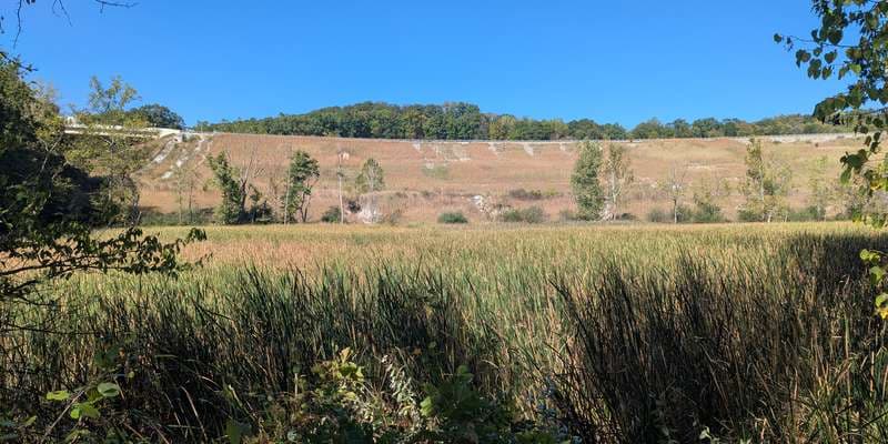 The featured photo for Stumpy Basin