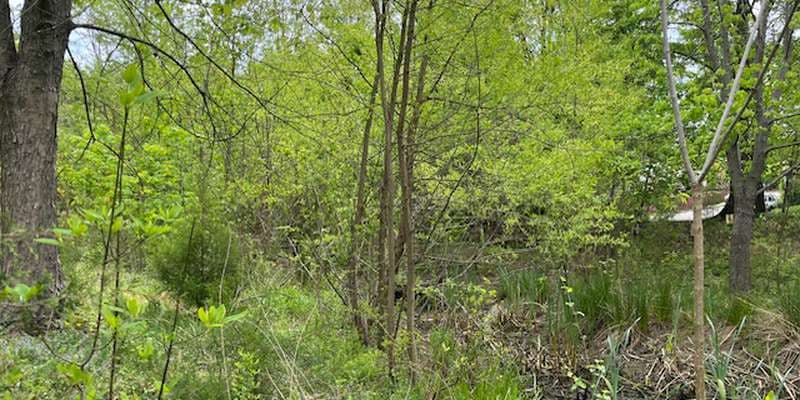 The featured photo for St Luke's Walk-Through