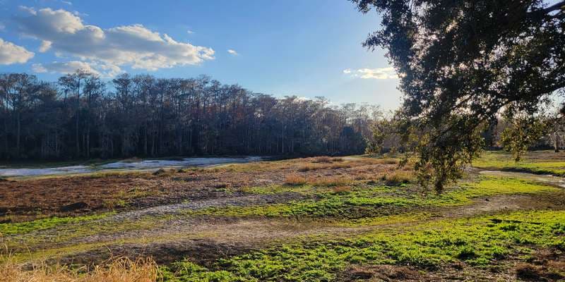 The featured photo for Fisheating Creek WMA