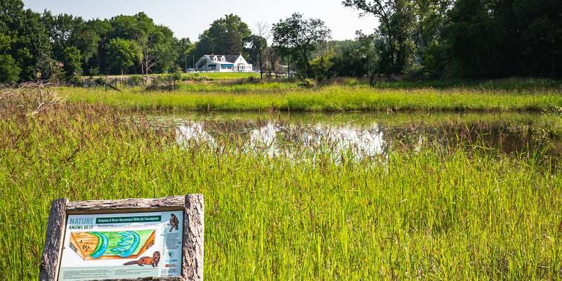 The featured photo for Redhorse Bend Preserve Wetland Restoration