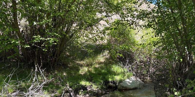 The featured photo for Dry Creek-Station 8