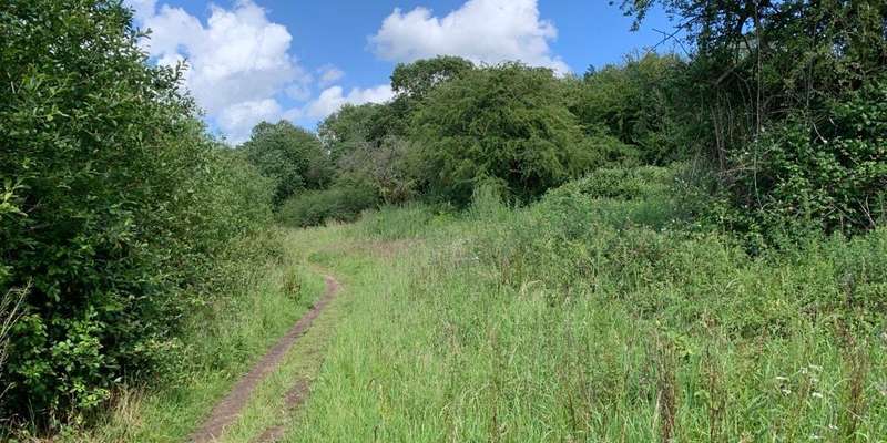 The featured photo for Bear Wood Oak Plantation 3