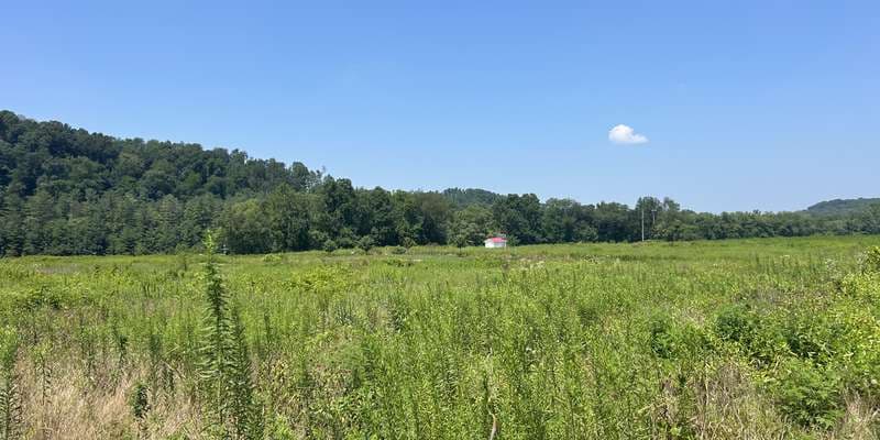 The featured photo for Wills Creek Dam