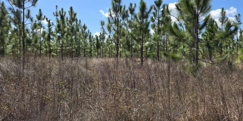 The featured photo for L. Kirk Edwards WEA